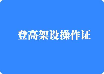 大鸡巴干大BB的视频在线观看登高架设操作证